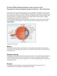 Check spelling or type a new query. Anatomi Mata Bagian