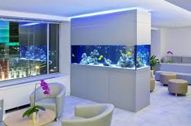 8 Endroits Propices Ou Placer L Aquarium Maison Aquarium Maison Decoration Maison Aquariums Super