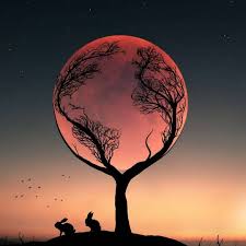Feb 21, 2018 · neuroimaging studies revealed that, being rejected based only on one's profile pictures resulted in increased activity in the medial frontal cortex, in both adults 41 and children 42, and. Nature Photography S Instagram Profile Post Repost Landscape Nightscape Selected Bleronc Good Night Massage Good Night Cards Moon Photography