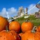 October Half Term event image