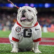 1 day ago · georgia vs. 2021 Football Opponent Previews Georgia Bulldogs Rock M Nation