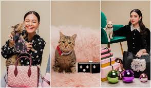 Cats for adoption, all ages. How Local Stray Cats Turned Into Supermodels For Kate Spade New York Trp