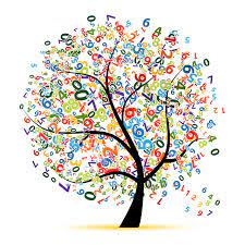I would have selected a branch at the back of the tree where no one would have seen and used kitchen scissors to remove it. Mathematics Is First Fun Math I Love Math Math