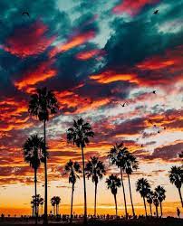 Venice Nature Photography Beautiful Landscapes Aesthetic Wallpapers