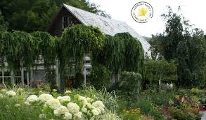 Rocky Dale Gardens Garden Inspiration Bristol Field Trip