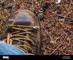 Well worn hiking boot against a pine needle covered forest floor ...