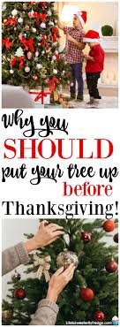 Check spelling or type a new query. 5 Reasons I Put Up My Christmas Tree Before Thanksgiving Life Is Sweeter By Design