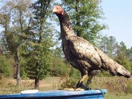 Pin On Places To Visit