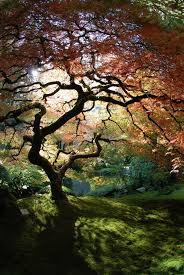 Don T Miss The Japanese Garden S Art Show And Sale Beautiful Nature Portland Japanese Garden Nature
