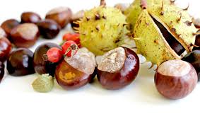 Das schöne im herbst ist neben den goldenen blättern und der einkehrenden gemütlichkeit, dass uns die natur auch material zum. Herbstdeko Basteln 3 Ideen Mit Naturmaterialien Utopia De