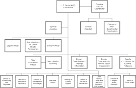 3 pepfar organization and implementation evaluation of