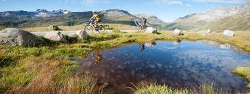 That identifies a resource through its primary access mechanism. Die Schonsten Radtouren In Uri