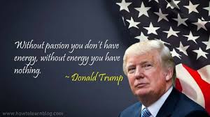 Ali baba didn't find 40 wise men in the cave. Donald Trump Quotes