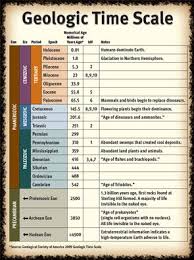 Fossil Discovery Center At Sterling Hill Mining Museum Life Science Lessons Earth Science Lessons Life Science Activities