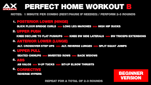 the perfect home workout athlean x