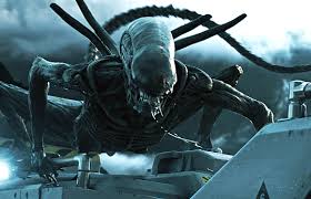 It's a jungle out there. Alien Covenant 2 Katherine Waterston Ist Nach Wie Vor An Sequel Interessiert Blairwitch De
