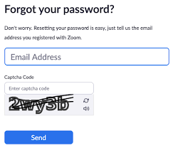 Resetting Your Zoom Password Zoom Help Center