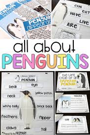 Emperor penguins are truly beautiful birds. All About Penguins Fun Learning For The Primary Classroom