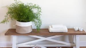 Spray the blades of your pruning tools with household antiseptic cleaner. Asparagus Fern Plant Care And Growing Guide