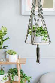 But to complete this brown earth amber is a very leafy decor of hanging plants and pots indoors. 18 Best Indoor Hanging Plants Real Hanging Plant Ideas For Low Light Conditions