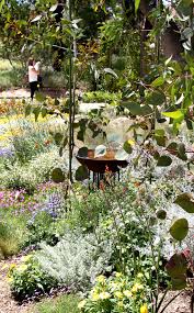 Adelaide Botanic Garden The Australian Native Garden Is A South Australian Government Sustai Australian Native Garden Australian Garden Design Native Garden