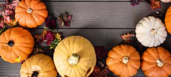 See more ideas about decor, table decorations, dining table decor. 4 Pumpkin Patches For Your Fall In Charlottesville