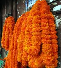 Darshan Nepal Store - Sayapatri Phool Mala @Darshan Nepal Store | Facebook