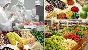 Ninh Bình: Triển khai “Tháng hành động vì an toàn thực phẩm” trên địa bàn  tỉnh năm 2024