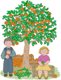 Il corbezzolo (arbutus unedo) è un piccolo albero sempreverde, produce grandi grappoli di piccoli fiori bianchi a campanula, il frutto è una bacca dal sapore leggermente dolce, può essere consumato sia crudo che come ingrediente della marmellata. L 39 Arancia By Bragiuse On Genially