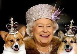 Queen Elizabeth Ii And Her Royal Corgis Queen Elizabeth Her Majesty The Queen Elizabeth Ii