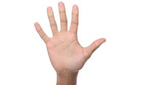 Tayammum adalah bersuci dari hadast besar maupun hadast kecil dengan mengusap wajah. Tata Cara Tayamum Dilengkapi Niat Doa Dan Syaratnya