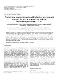 Image result for Leonotis myrothamnifolia