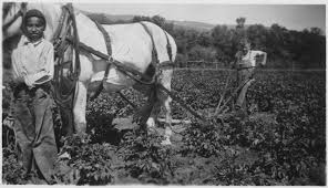 The Midwest Farmers Movement That Challenged Gilded Age Capitalism | Essay  | Zócalo Public Square