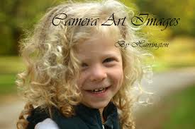 Camera Art Images by Harrington