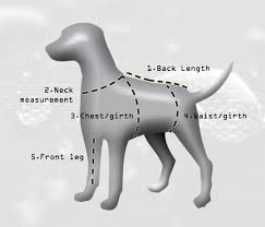 Euro Dog Designs Size Charts