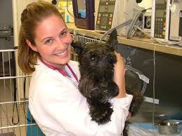 Maybe you would like to learn more about one of these? Vca Bay Area Veterinary Specialists Emergency Hospital 165 Photos 607 Reviews Veterinarians 14790 Washington Ave San Leandro Ca Phone Number