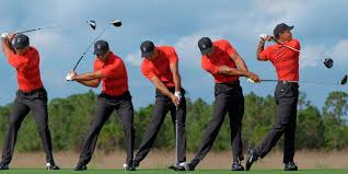 Swing Sequence Tiger Woods Golf Backswing Golf Swing Analysis Woods Golf