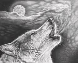 Official home of lone wolf technologies, creators of top tech for #realestate. Lone Wolf Drawing By Glen Powell
