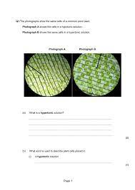Plants concentrate solutes in their root cells by active transport, and water. Q1 The Photographs Show The Same Cells Of A Common Pond Plant