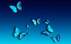 Customize your avatar with the aesthetic blue butterfly and millions of other items. Blue Butterfly Hintergrundbild Nawpic