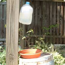 Diy tomato cage bird bath. Enhance Your Bird Bath Nwf Ranger Rick
