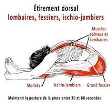 Position De La Pince Pour Etirer La Chaine Musculaire Posterieure Programme De Musculation Complet Etirement Exercice Dos
