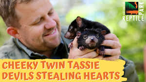 Australian Reptile Park