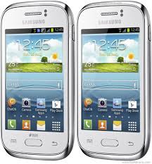 Samsung Galaxy Young S6310 Pictures Official Photos