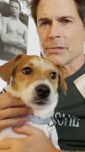 Rob Lowe showed his puppy the trailer for Dog Gone, his new movie — and  it's adorable.