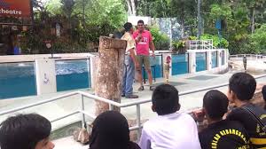 Over the years, the park area was rapidly evolved and modernized; Animal Show Zoo Negara Show Amphitheatre Kuala Lumpur Youtube