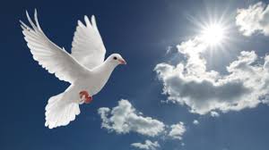 But pentecost doesn't just picture the giving of the law; Pentecost In Canada