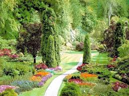 David is … old friend of mine. 16 Brilliant Ideas To Make Garden Paradise In Your Yard Beautiful Flowers Garden Garden Pictures Beautiful Gardens
