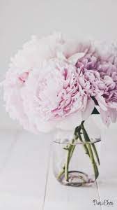 Posted on june 12, 2020 by coingeneratorfree. Peonies Pfingstrosen Wallpaper Free Download Flowerswallpaper Rosen Tapete Pfingstrosen Blumentapete