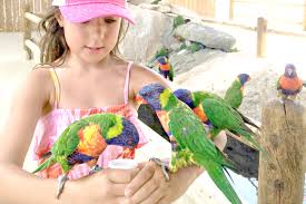 Jul 28, 2021 · categories: Rooster Cogburn Ostrich Ranch Arizona Roadside Attraction Brie Brie Blooms